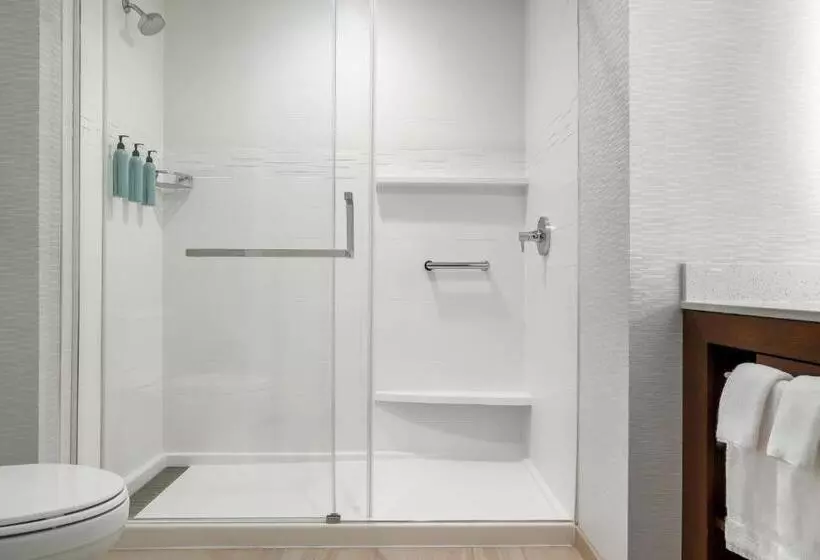 ２ベッドスイートルーム, Residence Inn Largo Medical Center Drive