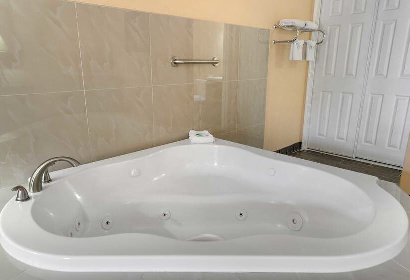 Стандартный Номер Кровать Кинг, The Lemon Tree