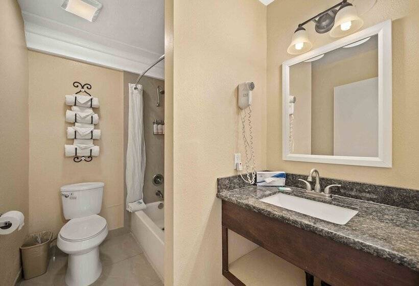 Люкс, The Lemon Tree