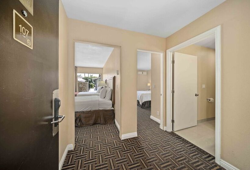 Люкс, The Lemon Tree