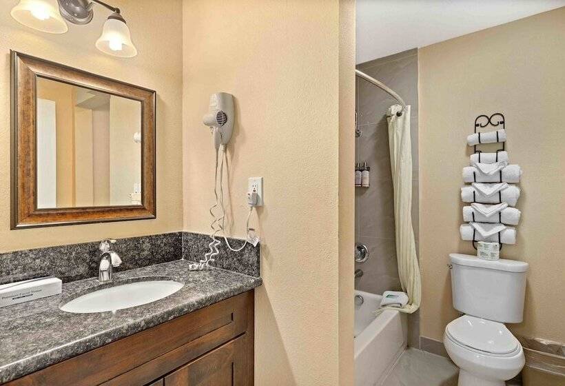 Family Suite, The Lemon Tree