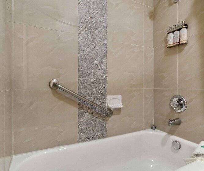 Family Suite, The Lemon Tree