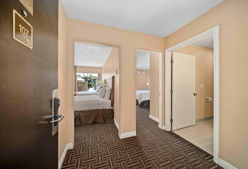 Suite, The Lemon Tree