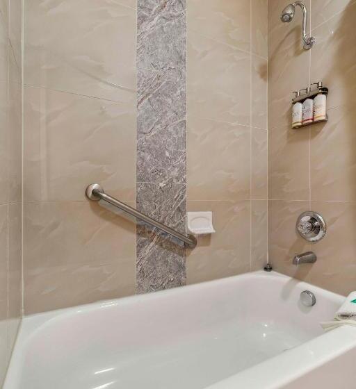 Номер Стандарт, The Lemon Tree