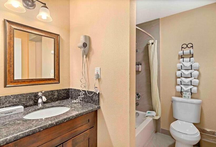 Номер Стандарт, The Lemon Tree