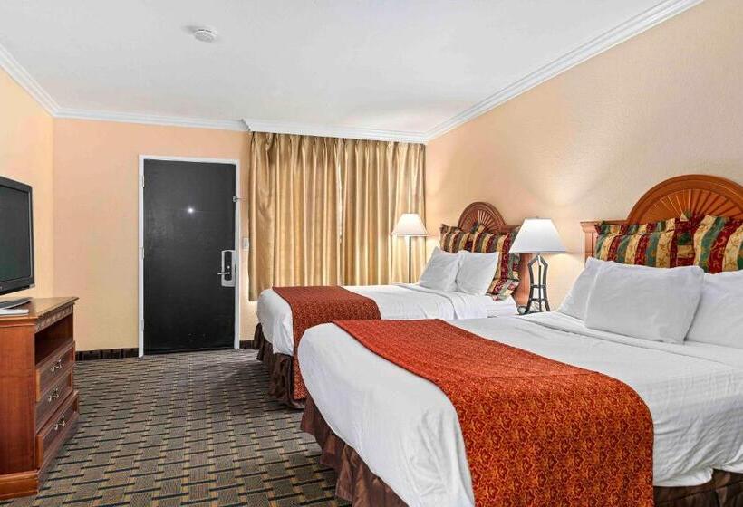 Номер Стандарт, The Lemon Tree