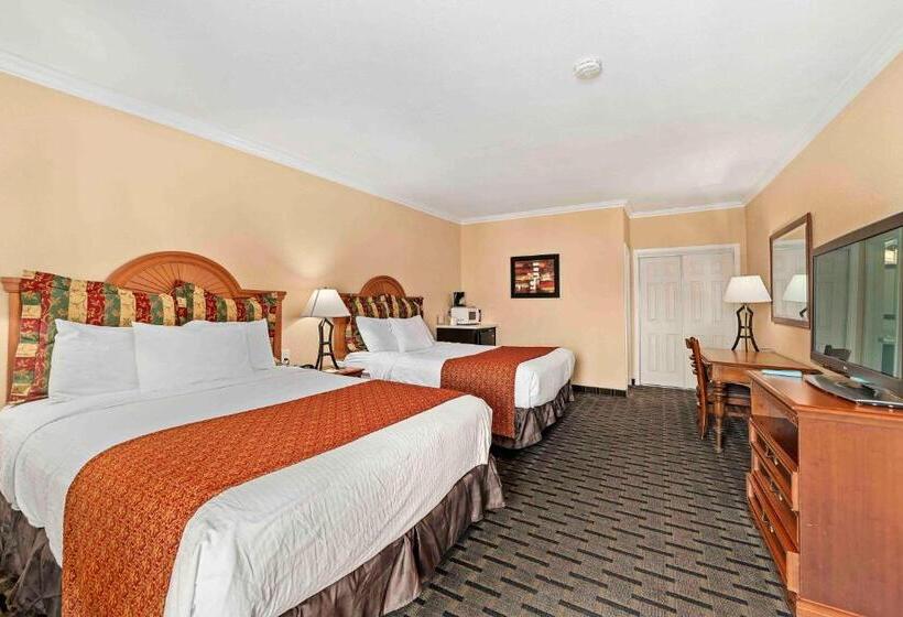 Номер Стандарт, The Lemon Tree