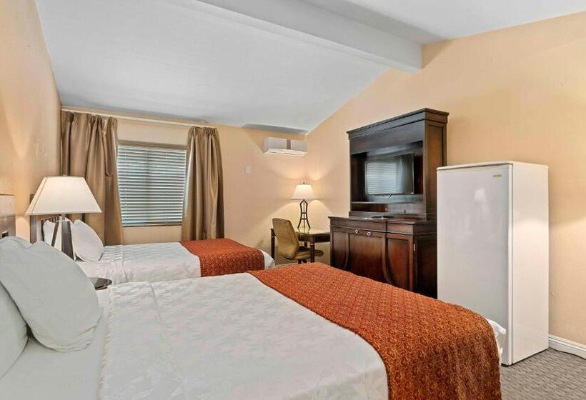 Family Suite, The Lemon Tree