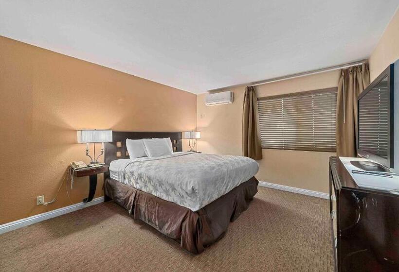 Family Suite, The Lemon Tree