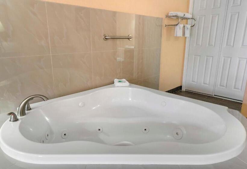 Стандартный Номер Кровать Кинг, The Lemon Tree