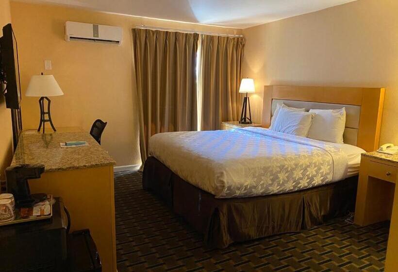 Номер Стандарт Кровать Кинг Адаптированный для Инвалидов, The Lemon Tree