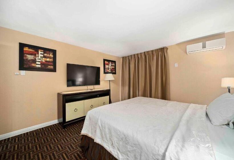 Номер Стандарт Индивидуальный, The Lemon Tree