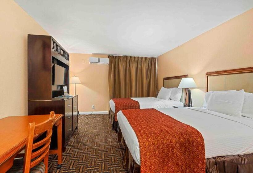 Chambre Standard, The Lemon Tree