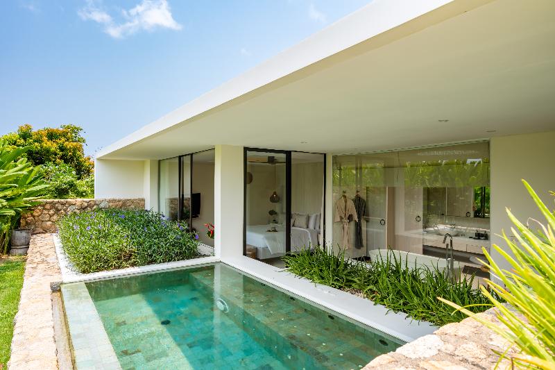 Номер Стандарт, The Lemon Tree