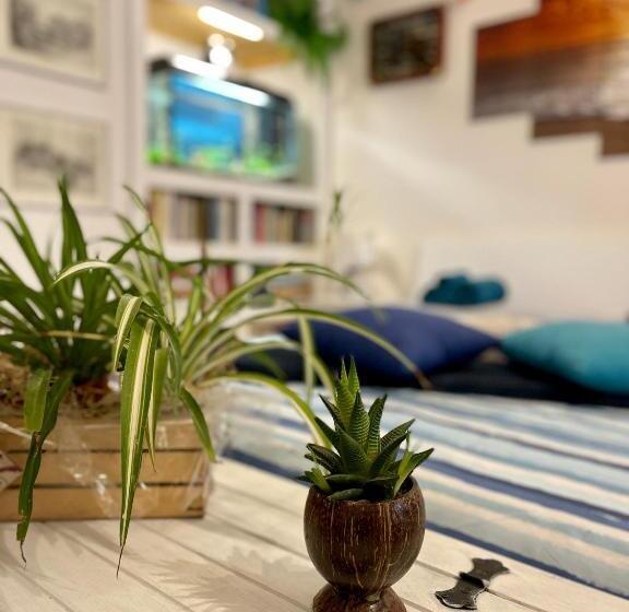 标准间, Il Posto Nascosto