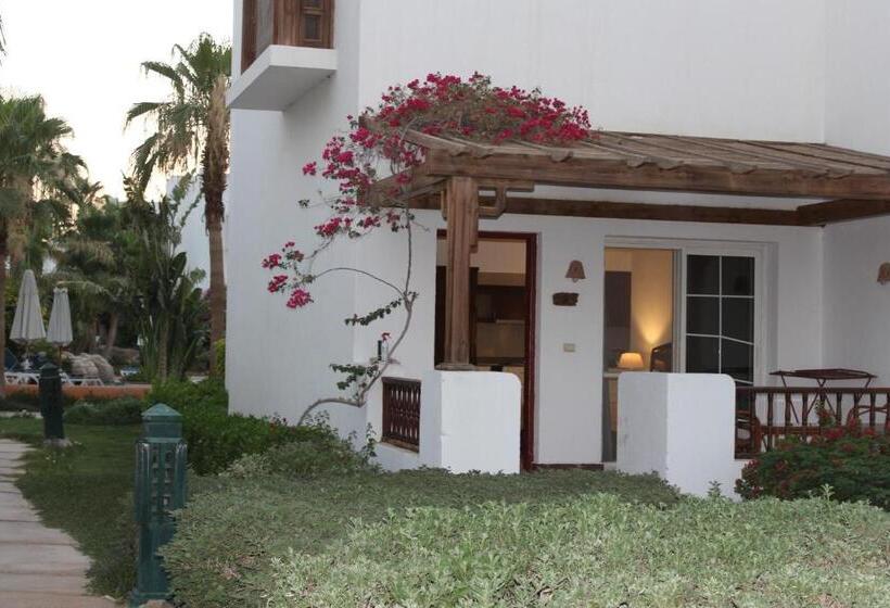 استودیوی لوکس, Herrmes Hospitality