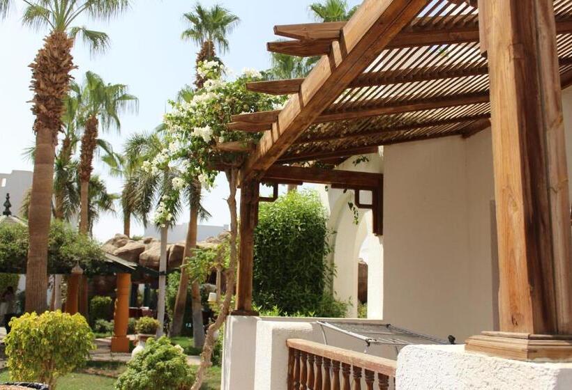 اتاق استاندارد سه تخته با چشم‌انداز استخر, Herrmes Hospitality