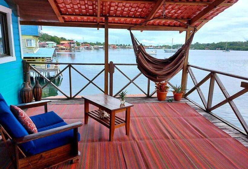 سوئیت با تخت بزرگ, The Sunsetter Bed & Breakfast