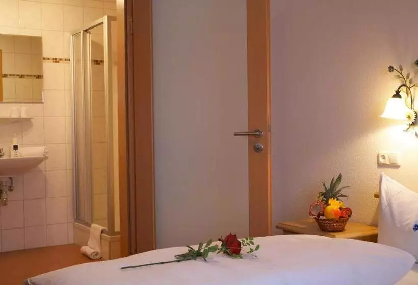 スタンダードシングルルーム, Alpenhotel Ernberg