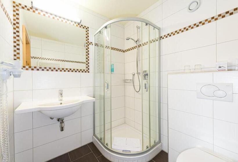Номер Стандарт Индивидуальный, Alpenhotel Ernberg