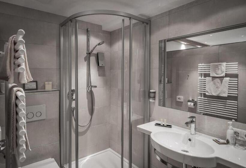 스탠다드 싱글 룸, Alpenland