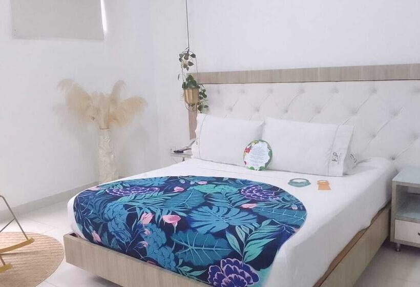 Номер Стандарт, Bolivariana Plaza Medellin