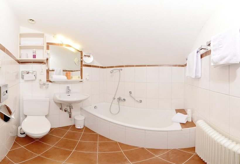 اتاق استاندارد سه نفره, Maximilian