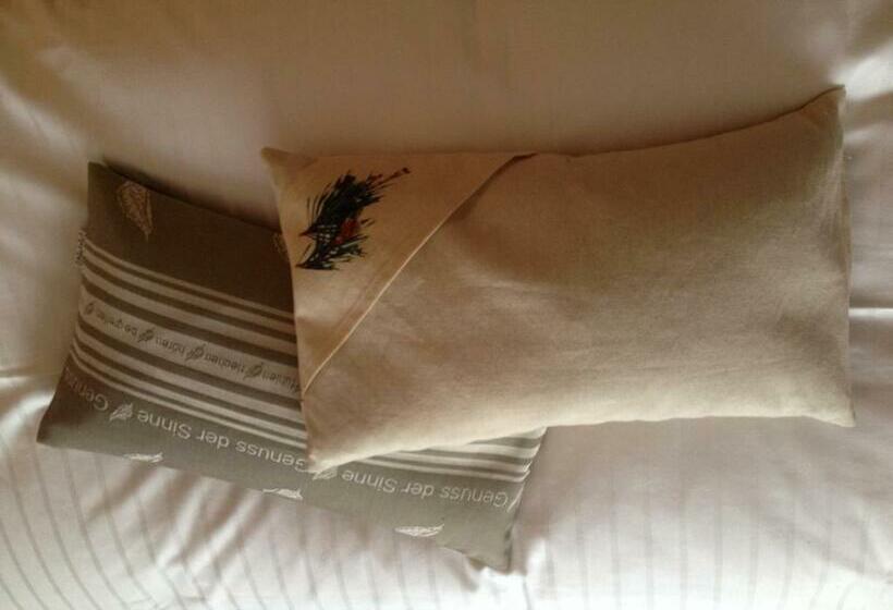 スタンダードルーム, Völserhof