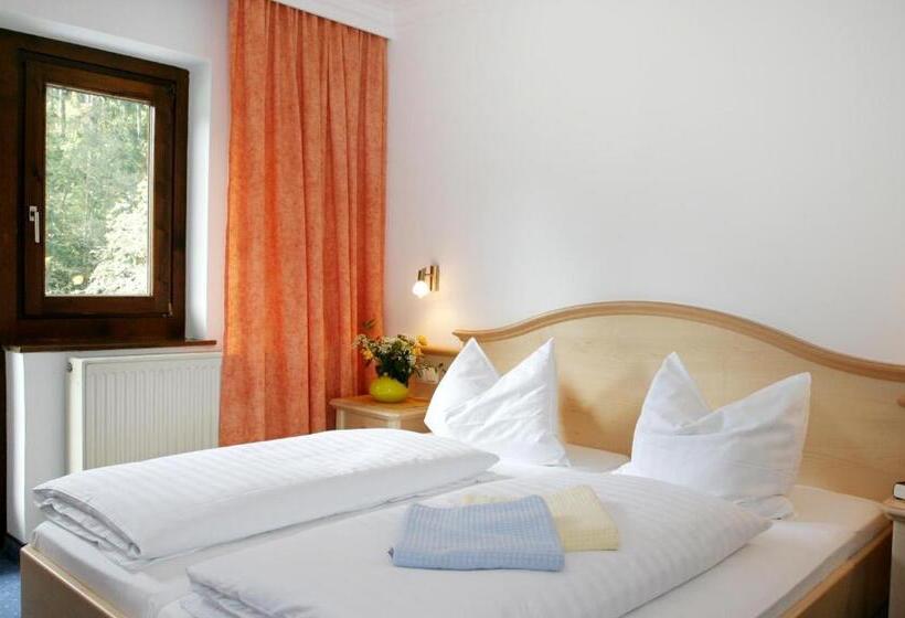 Номер Стандарт, Pension Norika