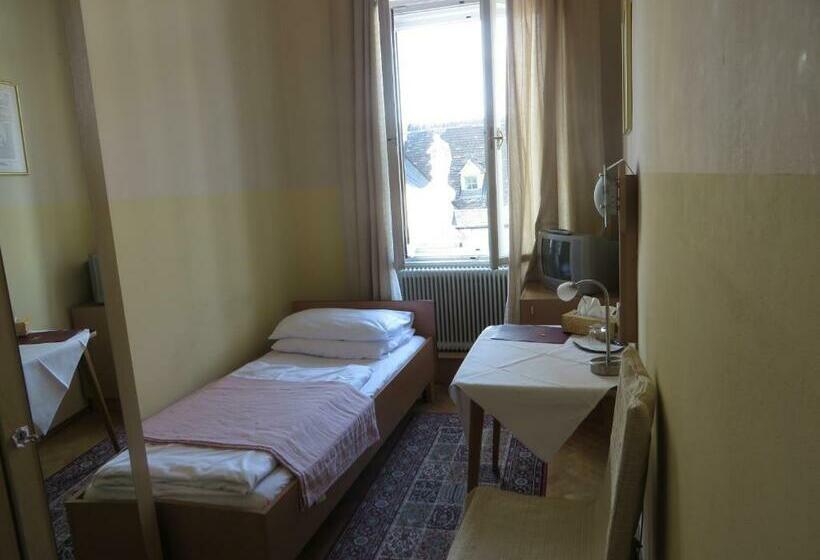 اتاق استاندارد یک نفره, Stadtpark