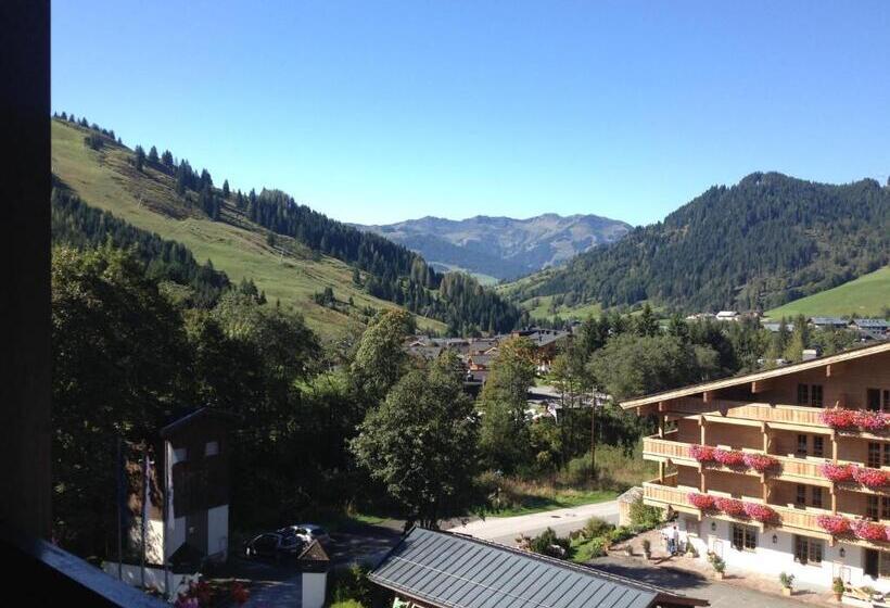 חדר סטודיו סטנדרד, Marco Polo Alpina Familien  & Sport