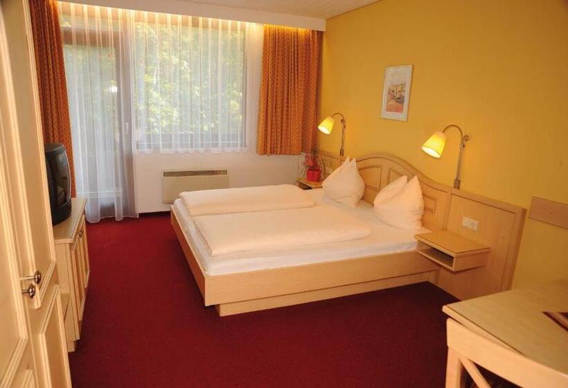 חדר סטודיו סטנדרד, Marco Polo Alpina Familien  & Sport