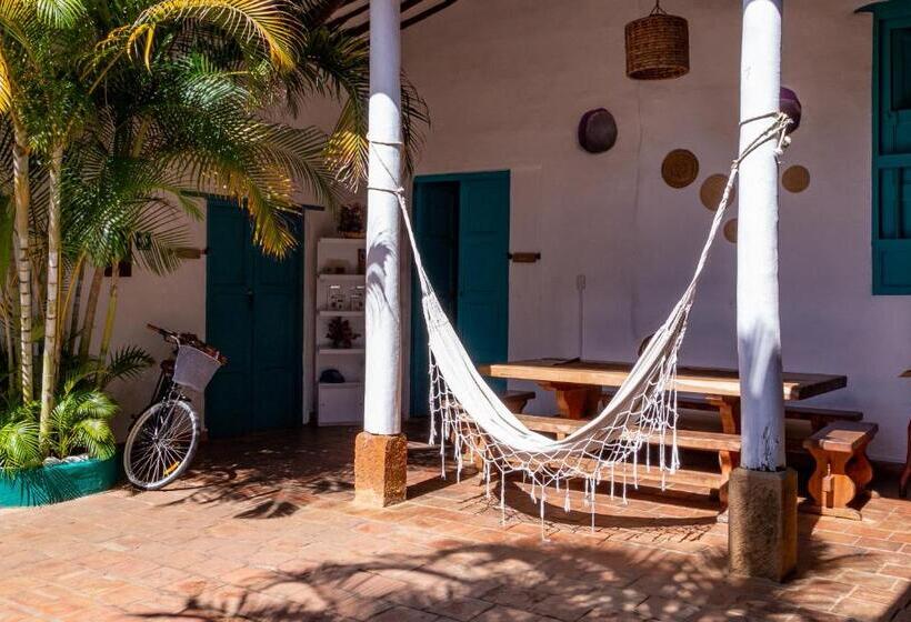 이코노미 룸, Florré Blossom