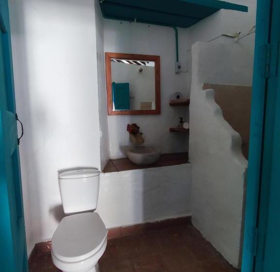 이코노미 룸, Florré Blossom