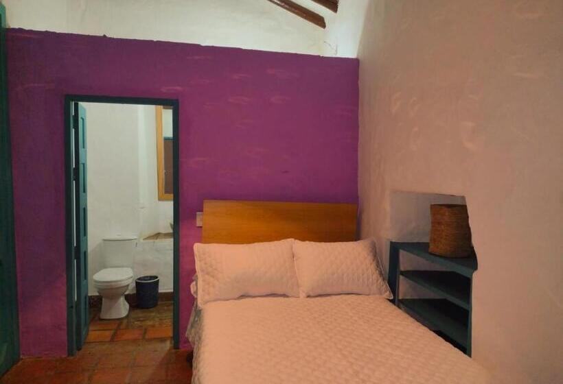 이코노미 룸, Florré Blossom