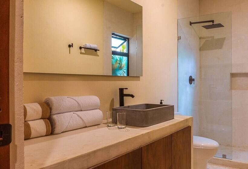 سوییت جونیور, Mayanah Bacalar