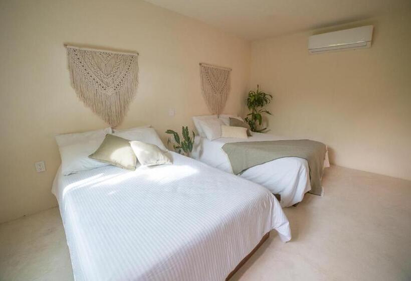 سوییت جونیور, Mayanah Bacalar