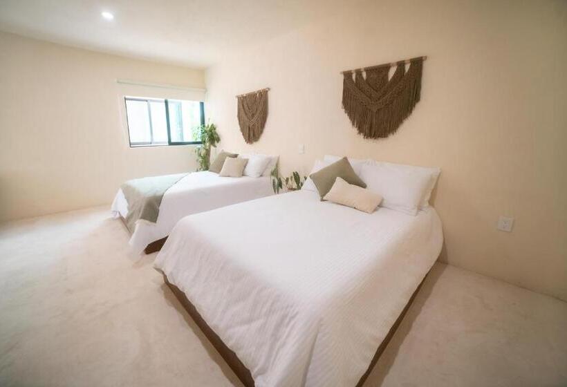 سوییت, Mayanah Bacalar