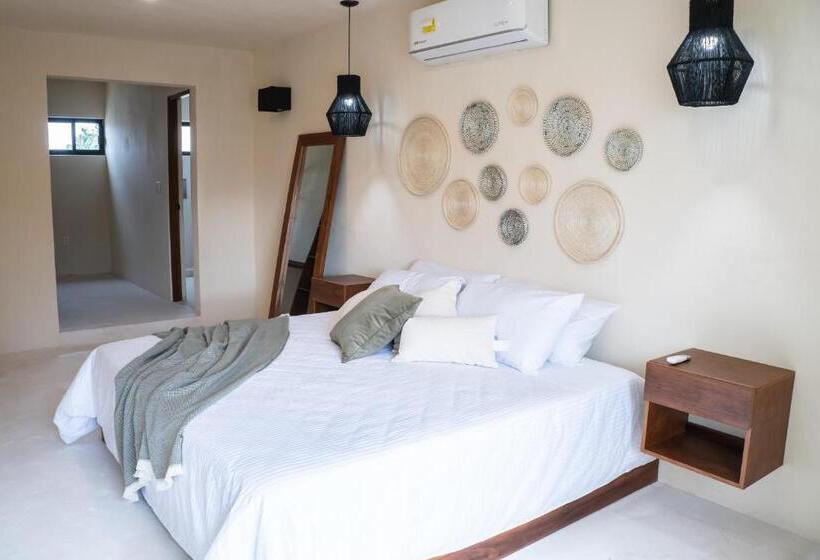 سوئیت مستر, Mayanah Bacalar