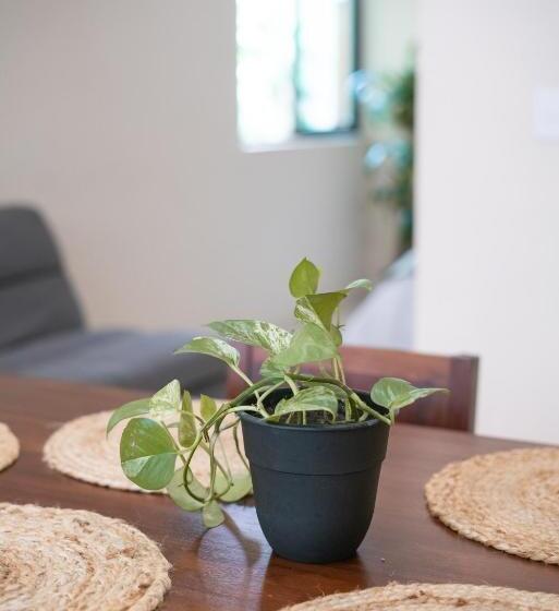 سوئیت مستر, Mayanah Bacalar