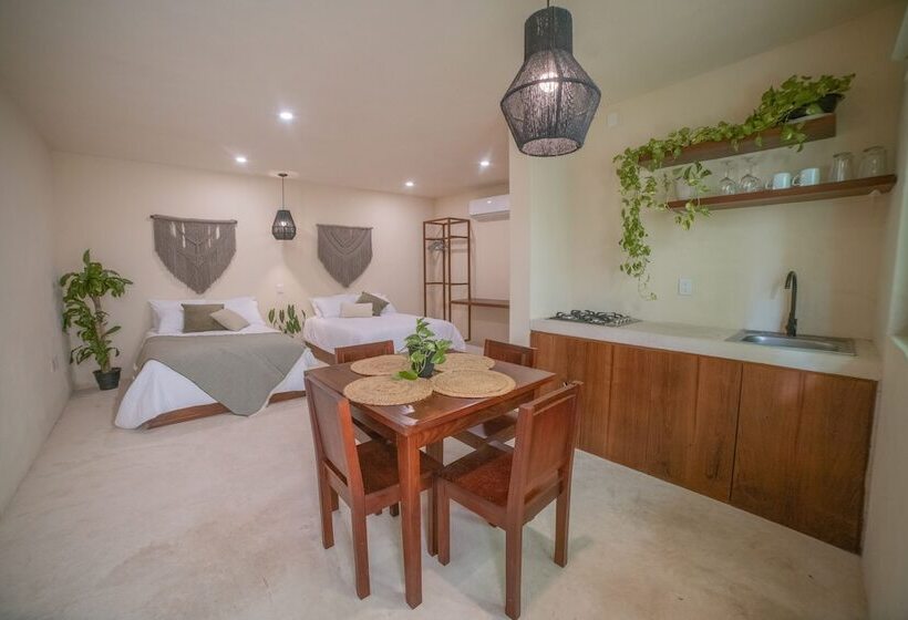 سوییت جونیور, Mayanah Bacalar