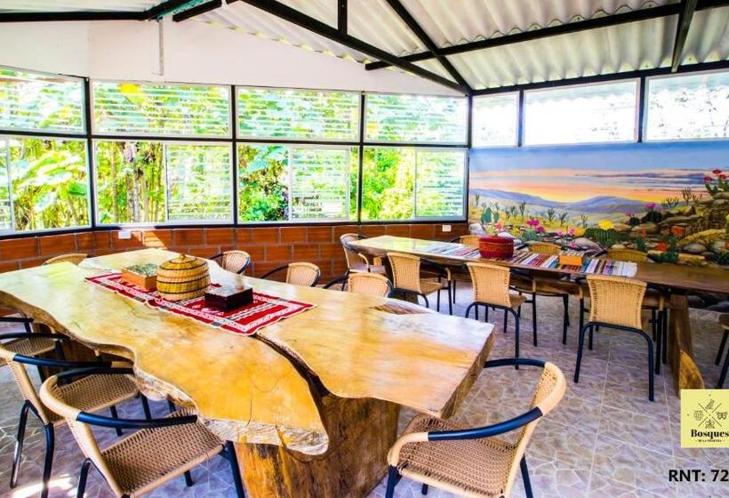 Номер Стандарт, Bosques De La Pradera