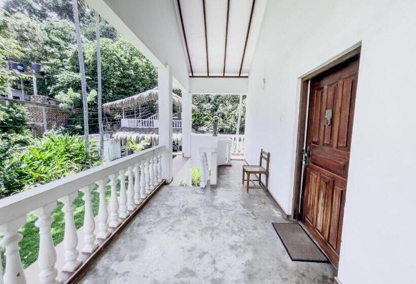 豪华家庭房间, Alice In Paradise