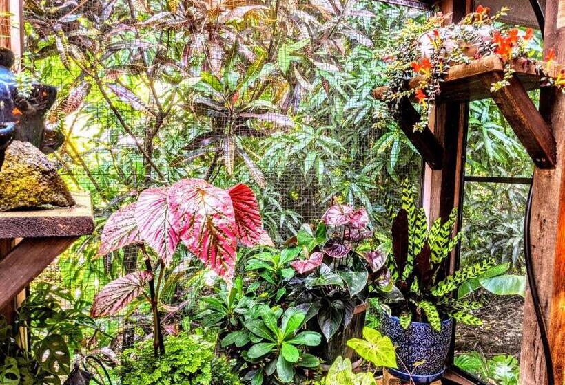 غرفة قياسية مطلّة علي الحديقة, Kehena Mauka Nui Club Lgbtqia+ Clothing Optional