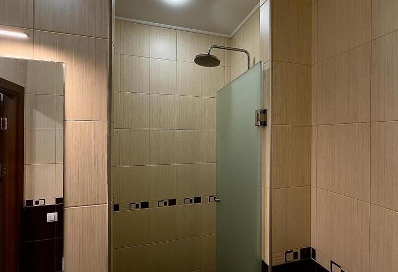 اتاق استاندارد یک نفره, Civilization