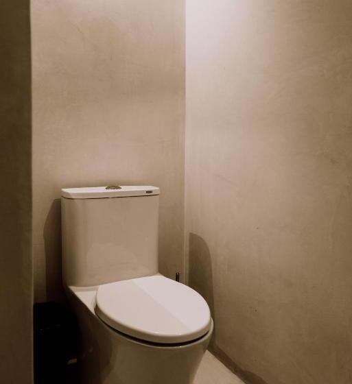 스탠다드 스튜디오, Amatte San Miguel De Allende