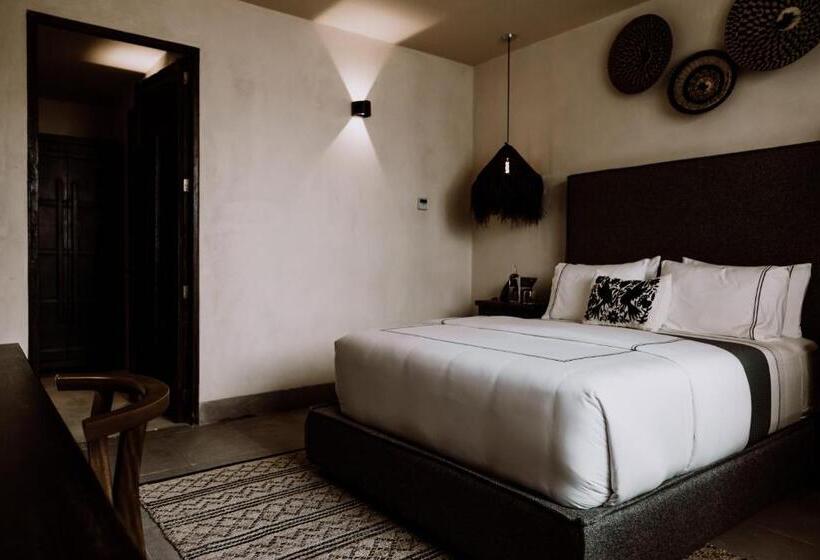 スタンダードスタジオ, Amatte San Miguel De Allende