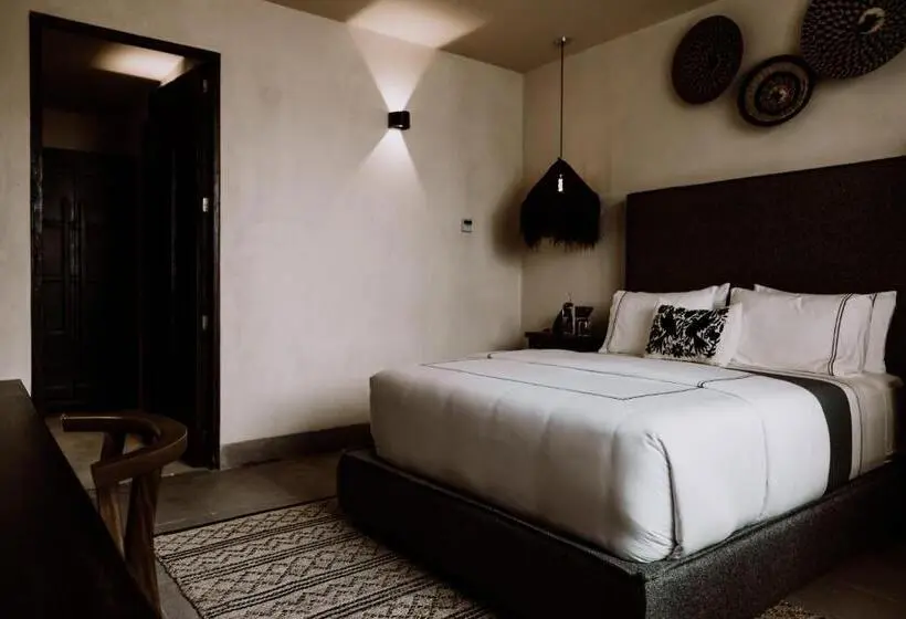 スタンダードスタジオ, Amatte San Miguel De Allende