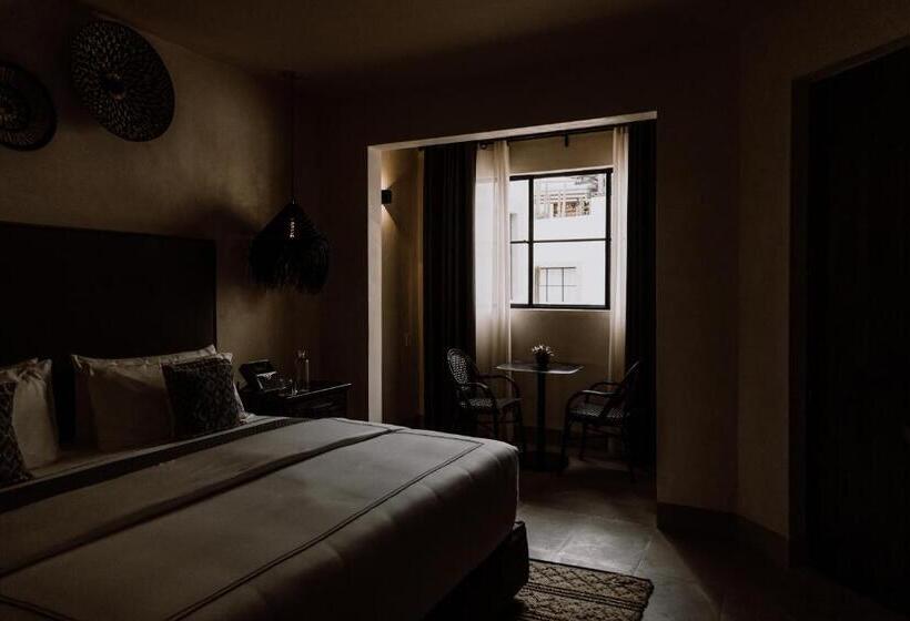 스탠다드 스튜디오, Amatte San Miguel De Allende