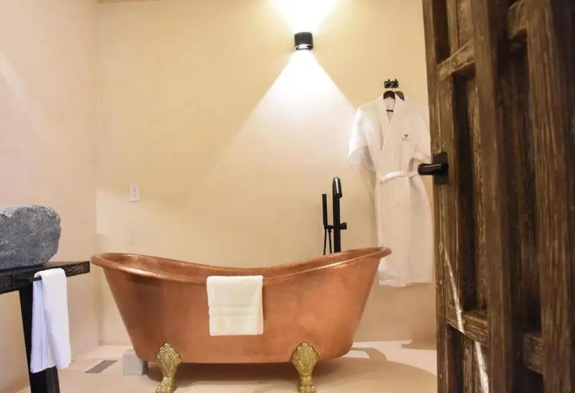 デラックススイート, Amatte San Miguel De Allende